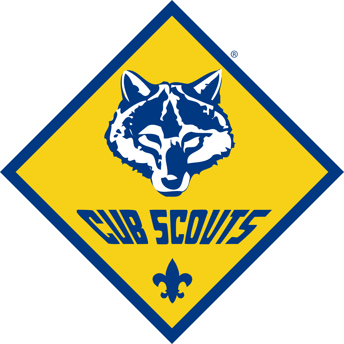 cub-scouts-connecticut-yankee-council-bsa